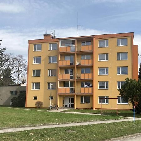 Apartman Ve Velkych Losinach Velké Losiny Exterior foto