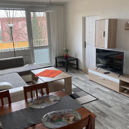 Apartman Ve Velkych Losinach Velké Losiny Exterior foto